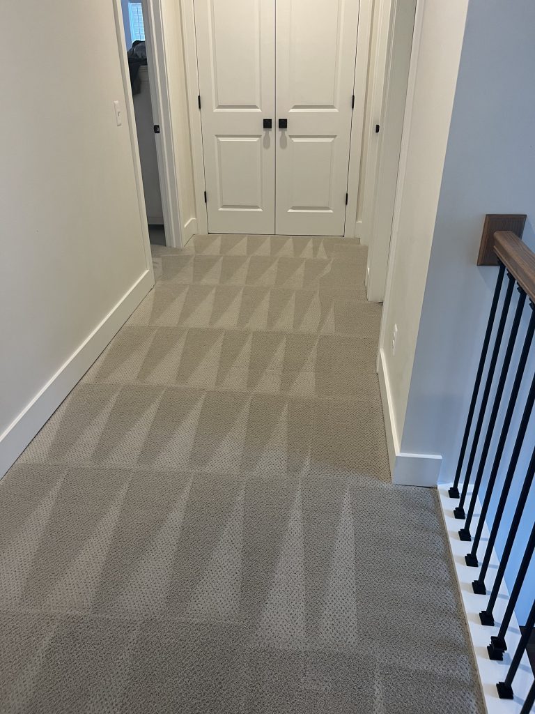 A professionally cleaned carpet in Clinton Charter Township, Michigan. Air duct cleaning is also available.
